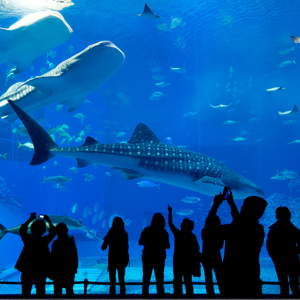 Oceanographic museum of Monaco