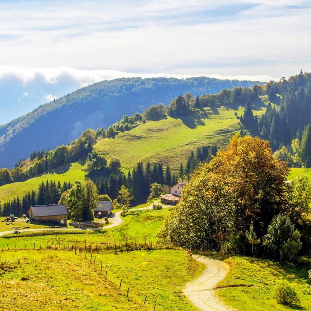 Parc naturel du Haut-Jura